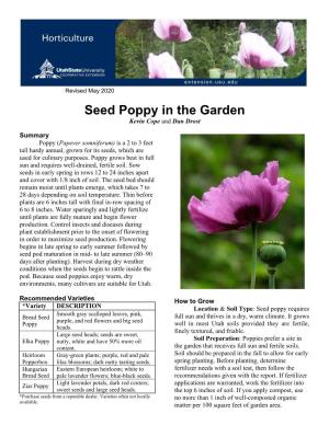Seed Poppy in the Garden Kevin Cope and Dan Drost