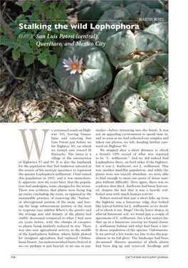 Stalking the Wild Lophophora PART 3 San Luis Potosí (Central), Querétaro, and Mexico City