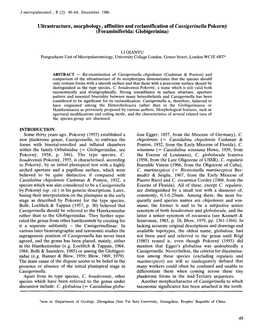 Ultrastructure, Morphology, Affinities and Reclassification of Cassigerinella Pokorny (Foraminiferida: Globigerinina)