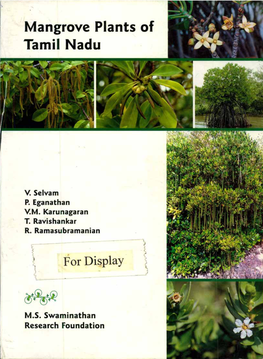 Mangrove Plants of Tamil Nadu