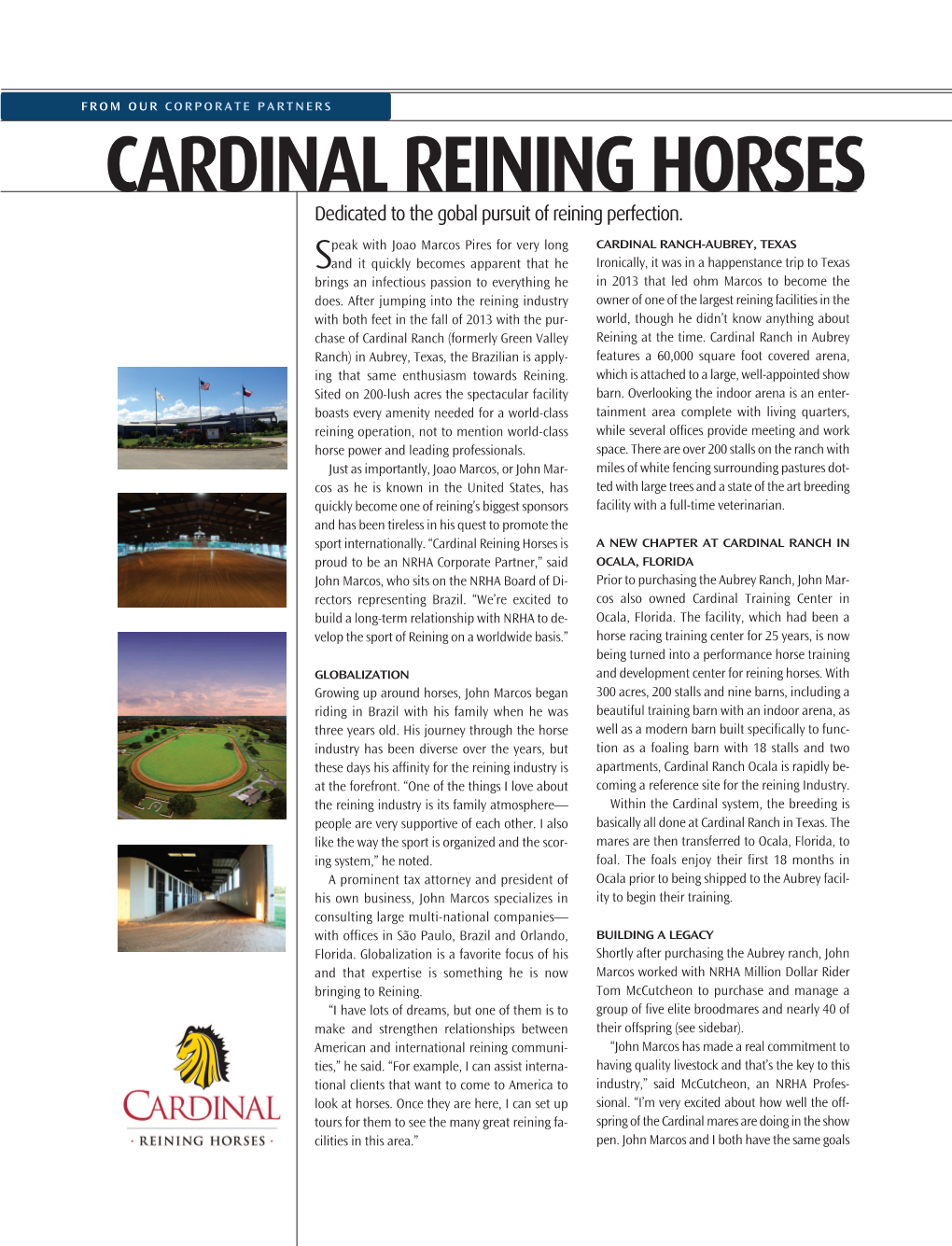 CARDINAL REINING HORSES Dedicated to the Gobal Pursuit of Reining Perfection