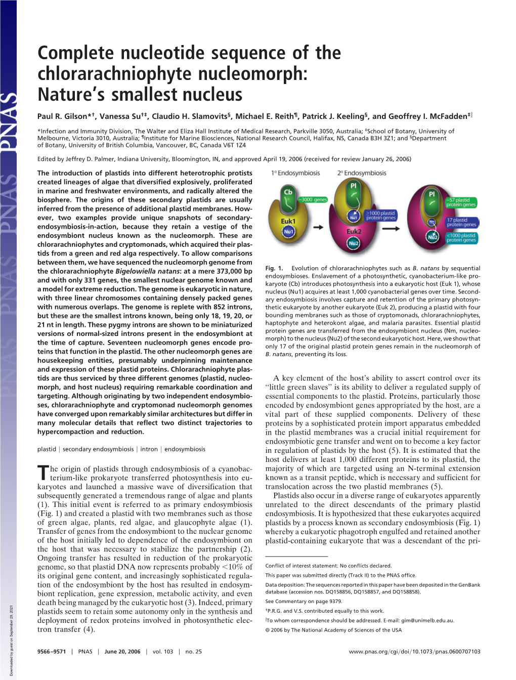 Complete Nucleotide Sequence of the Chlorarachniophyte Nucleomorph: Nature’S Smallest Nucleus