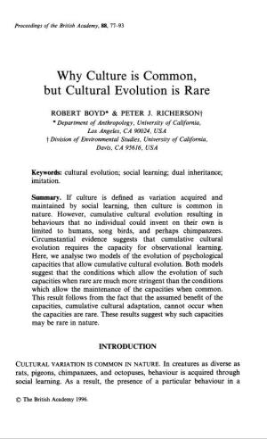 Why Culture Is Common, but Cultural Evolution Is Rare