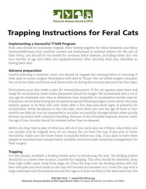 Trapping Instructions for Feral Cats