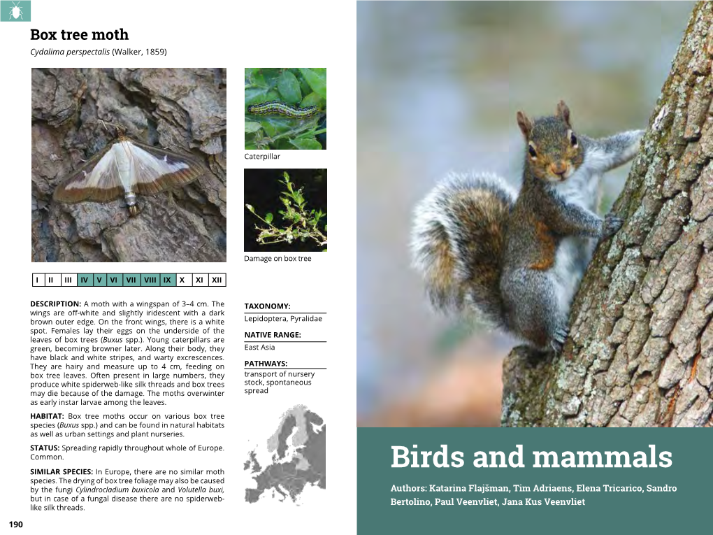 Birds and Mammals SIMILAR SPECIES: in Europe, There Are No Similar Moth Species