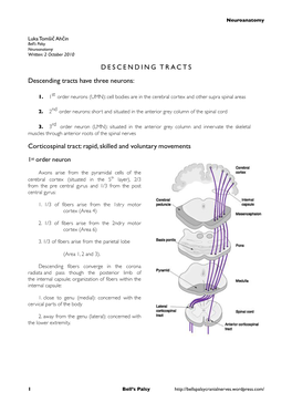 DESCENDING TRACTS Descending Tracts Have Three Neurons