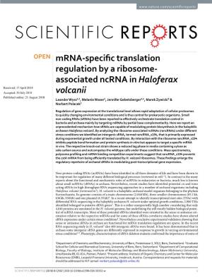 Mrna-Specific Translation Regulation by a Ribosome-Associated Ncrna In
