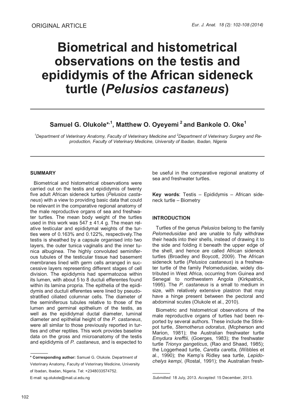 Biometrical and Histometrical Observations on the Testis and Epididymis of the African Sideneck Turtle (Pelusios Castaneus)