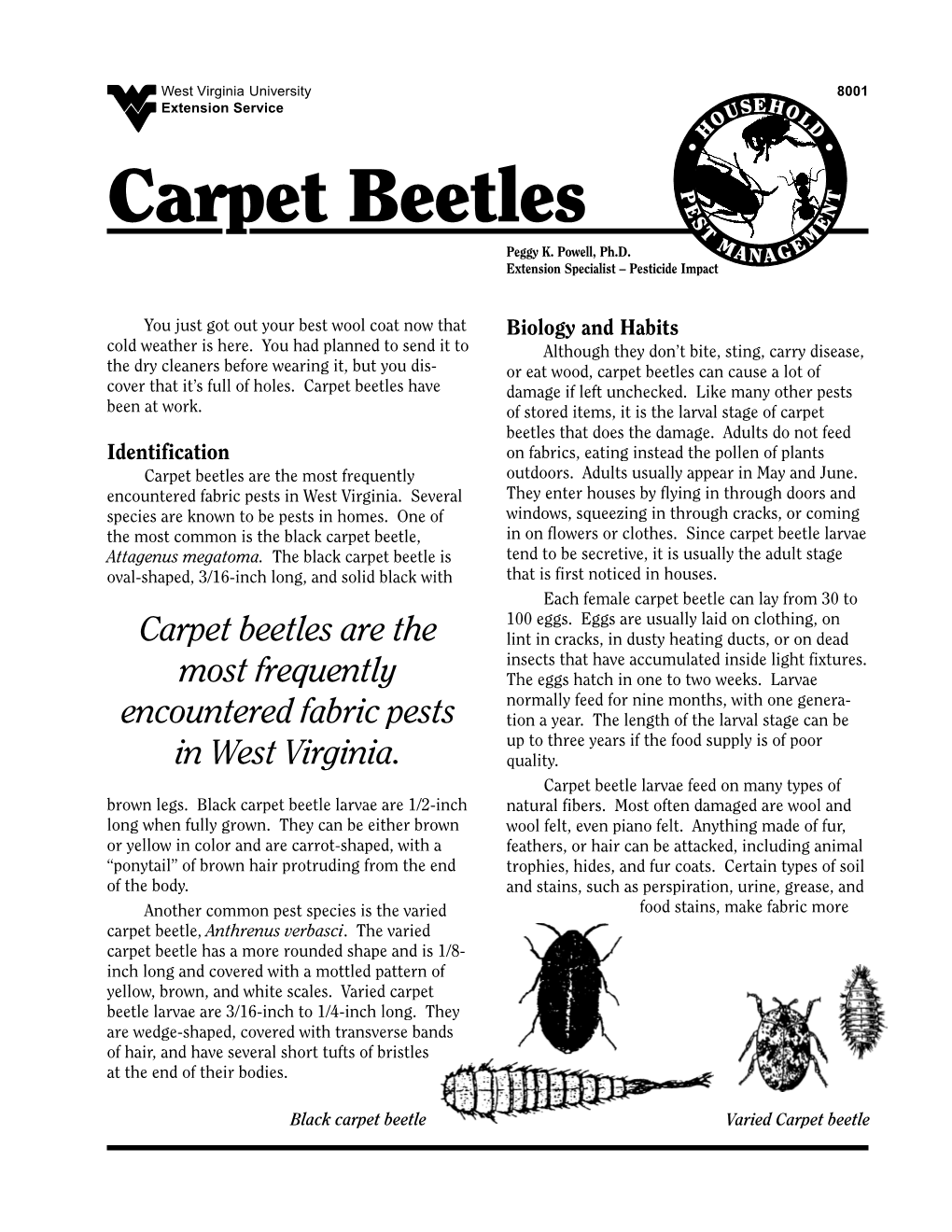 Carpet Beetles T E M M Peggy K