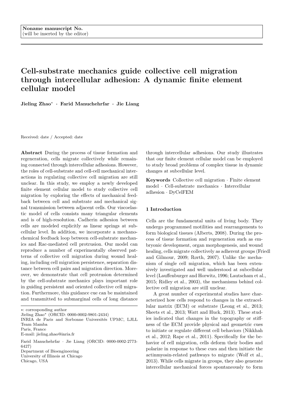 Cell-Substrate Mechanics Guide Collective Cell Migration Through Intercellular Adhesion: a Dynamic ﬁnite Element Cellular Model