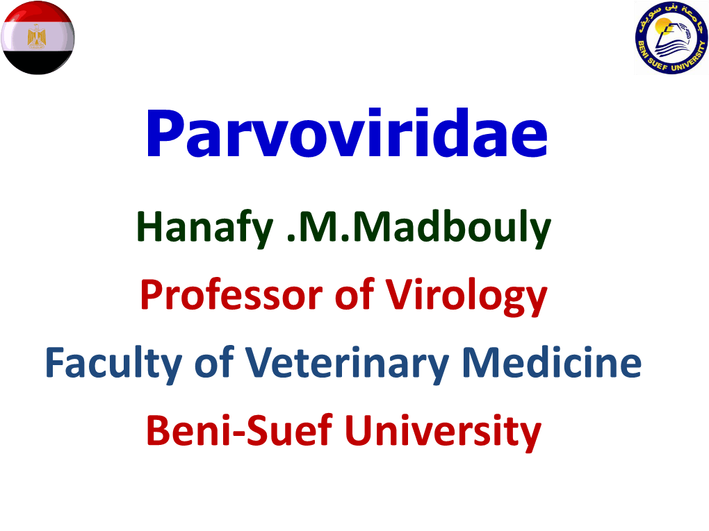 Parvoviridae Hanafy .M.Madbouly Professor of Virology Faculty of Veterinary Medicine Beni-Suef University