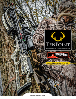 Tenpoint / What’S New