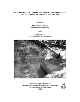 Research Reports from the Programme for Belize Archaeological Project, Volume Six