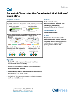 Ancestral Circuits for the Coordinated Modulation of Brain State