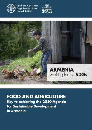 Key to Achieving the 2030 Agenda for Sustainable Development in Armenia