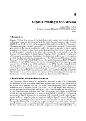 Organic Petrology: an Overview
