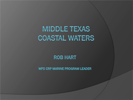 Middle Texas Coastal Waters