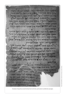 Translators Frequently Consult the Dead Sea Scroll Texts, Particularly in Problematic Passages