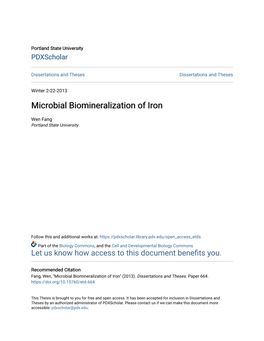 Microbial Biomineralization of Iron