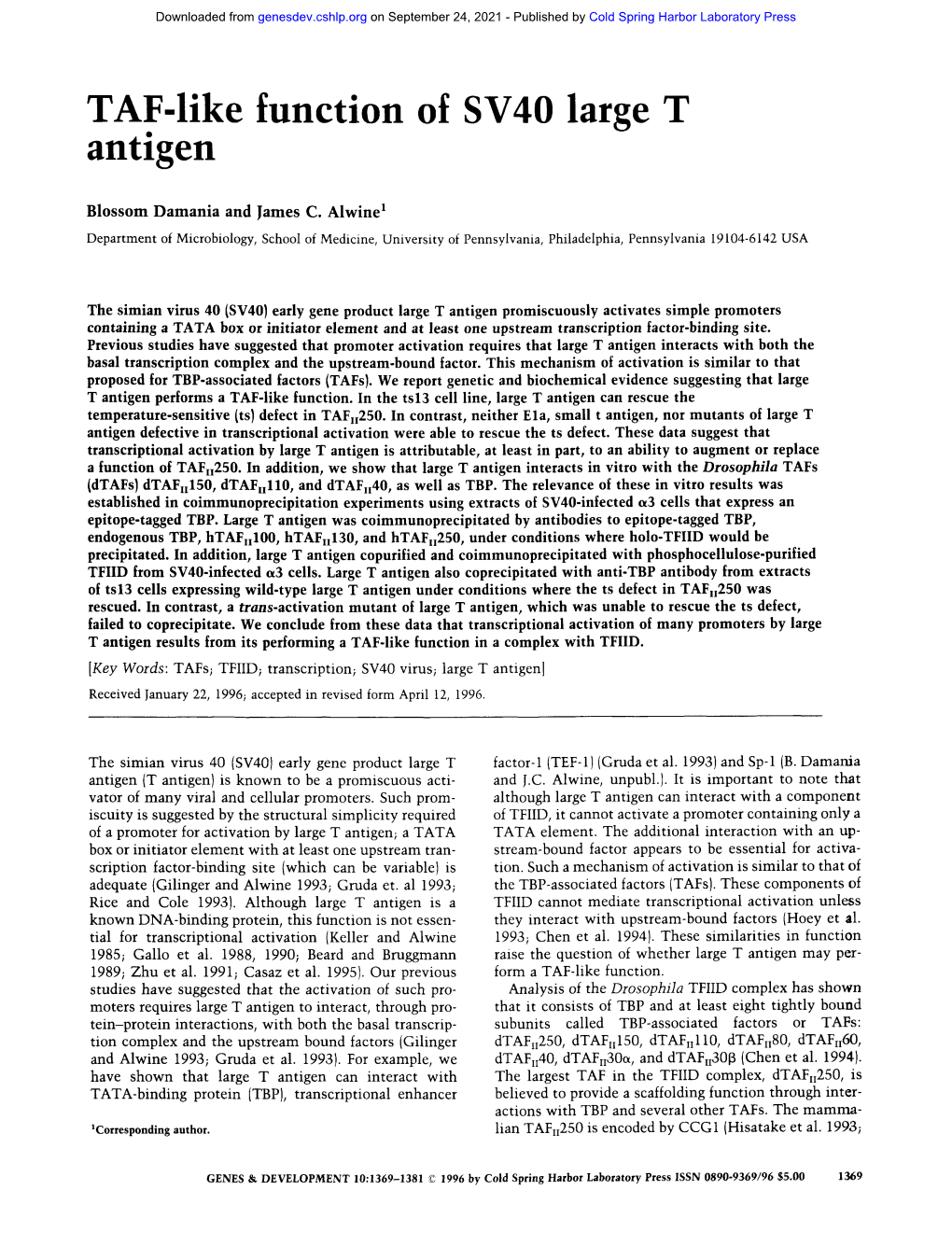 TAF-Like Function of SV40 Large T Antigen