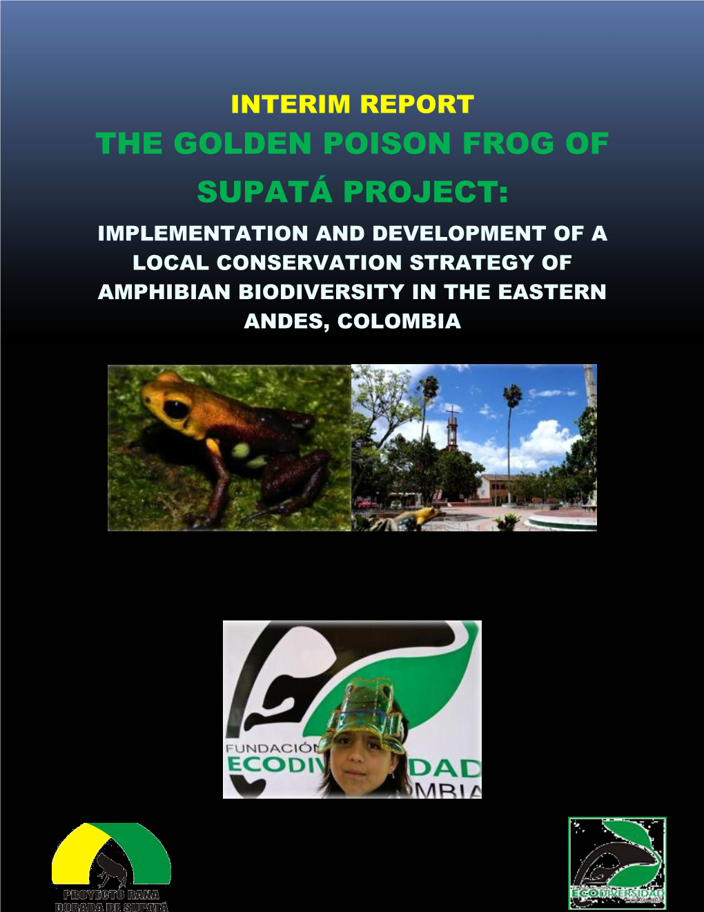 The Golden Poison Frog of Supatá Project