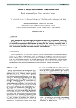 Torsion of the Spermatic Cord in a Warmblood Stallion