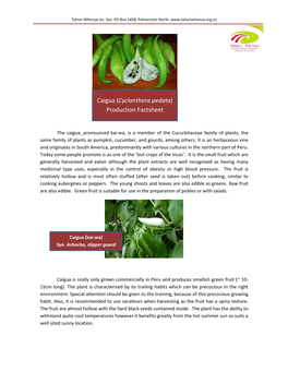 Caigua (Cyclanthera Pedata) Production Factsheet
