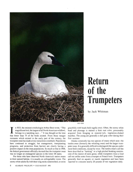 Return of the Trumpeters