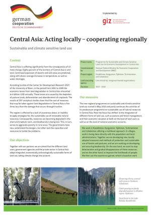 Central Asia: Acting Locally – Cooperating Regionally