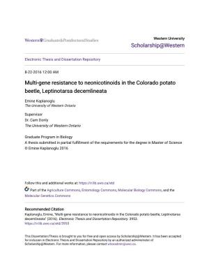 Multi-Gene Resistance to Neonicotinoids in the Colorado Potato Beetle, Leptinotarsa Decemlineata