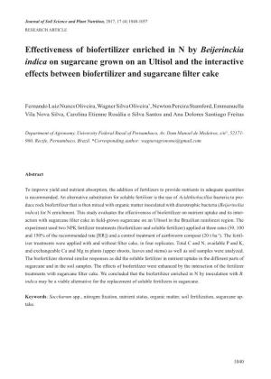 Effectiveness of Biofertilizer Enriched in N by Beijerinckia Indica On