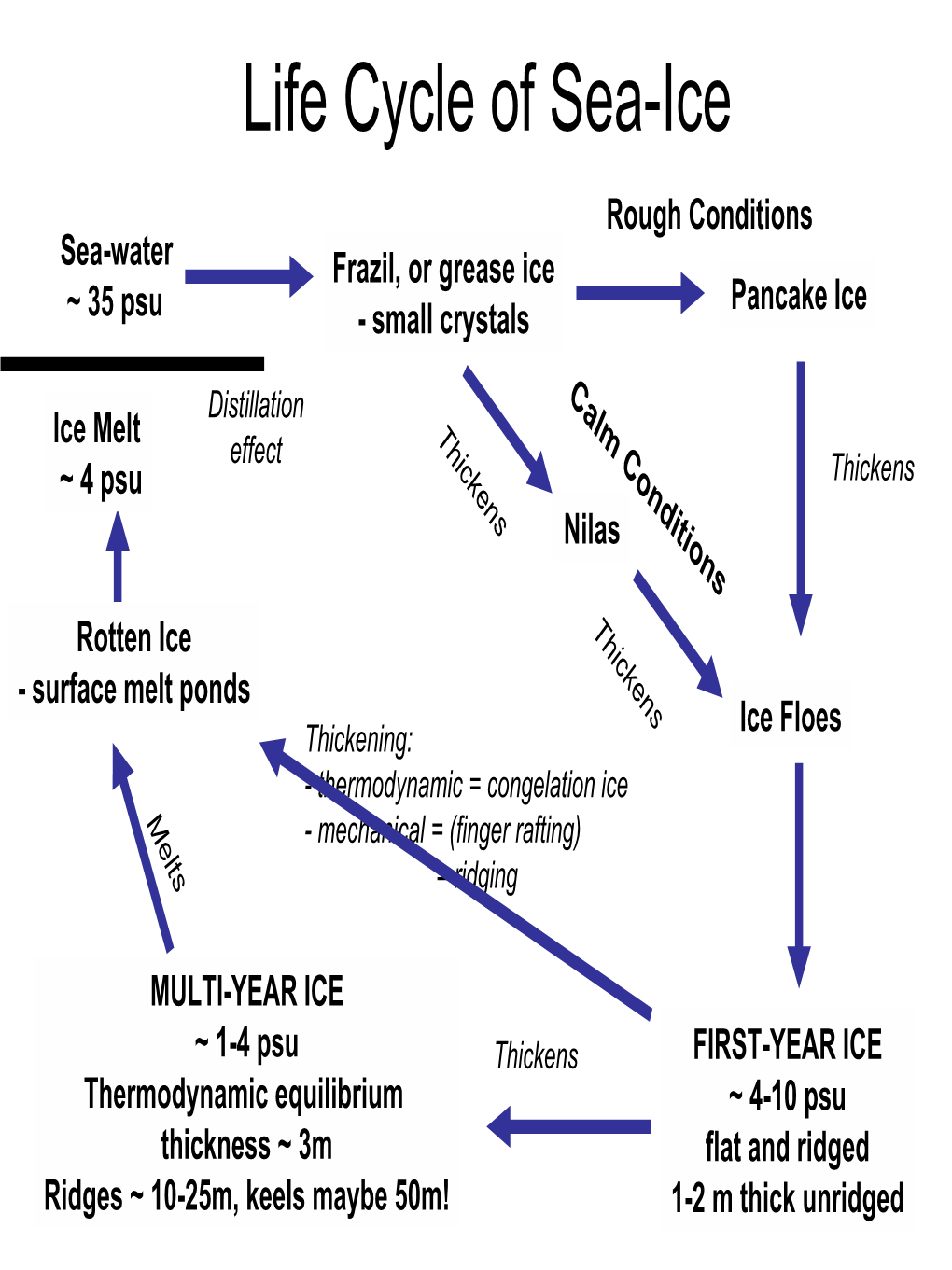 Life Cycle of Sea-Ice