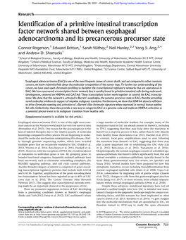 Identification of a Primitive Intestinal Transcription Factor Network Shared Between Esophageal Adenocarcinoma and Its Precancerous Precursor State