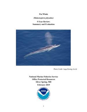 5-YEAR REVIEW of Fin Whale