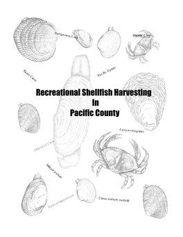 Recreational Shellfish Harvesting in Pacific County