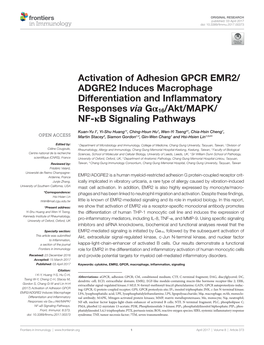 Activation of Adhesion GPCR EMR2/ADGRE2 Induces