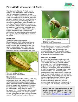 Pest Alert: Viburnum Leaf Beetle