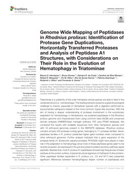 Genome Wide Mapping of Peptidases in Rhodnius Prolixus