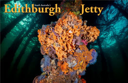 Diving Edithburgh Jetty…