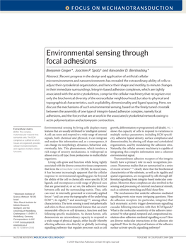Environmental Sensing Through Focal Adhesions