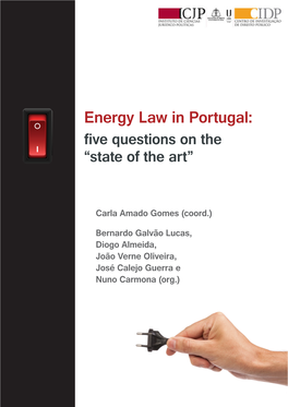 Energy Law in Portugal: Five Questions on the “State of the Art”