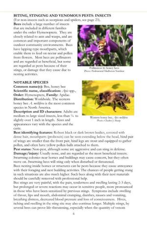 BITING, STINGING and VENOMOUS PESTS: INSECTS (For Non-Insects Such As Scorpions and Spiders, See Page 23)