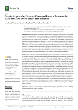 Anopheles Gambiae Genome Conservation As a Resource for Rational Gene Drive Target Site Selection