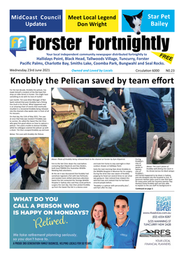 Knobbly the Pelican Saved by Team Effort