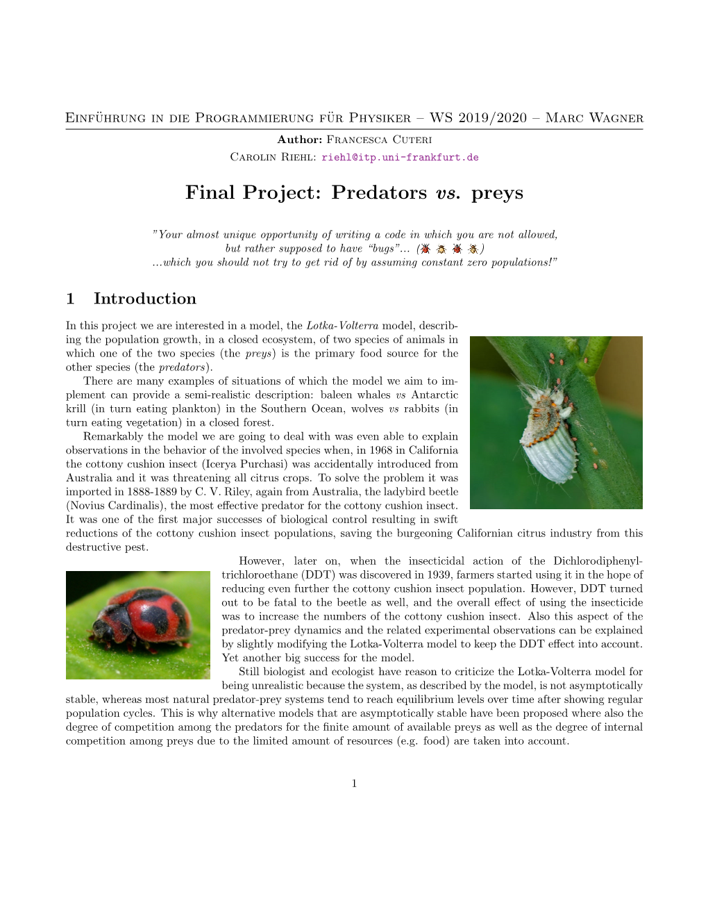 Final Project: Predators Vs. Preys