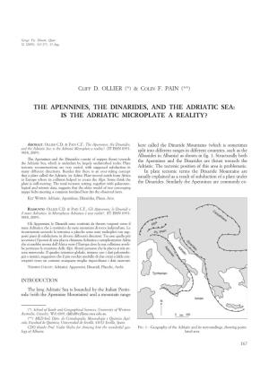 The Apennines, the Dinarides, and the Adriatic Sea: Is the Adriatic Microplate a Reality?
