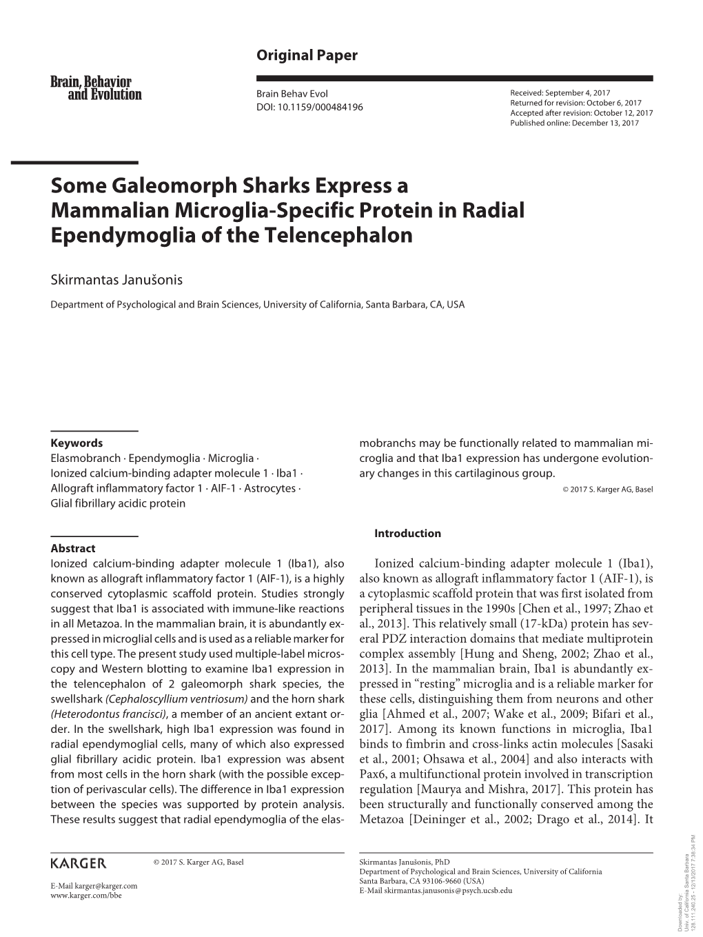 Some Galeomorph Sharks Express a Mammalian Microglia-Specific Protein in Radial Ependymoglia of the Telencephalon