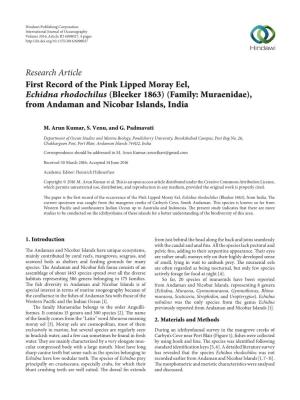 Research Article First Record of the Pink Lipped Moray Eel, Echidna Rhodochilus (Bleeker 1863) (Family: Muraenidae), from Andaman and Nicobar Islands, India