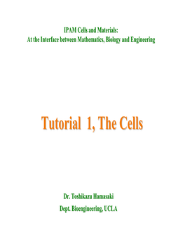 Tutorial 1, the Cells