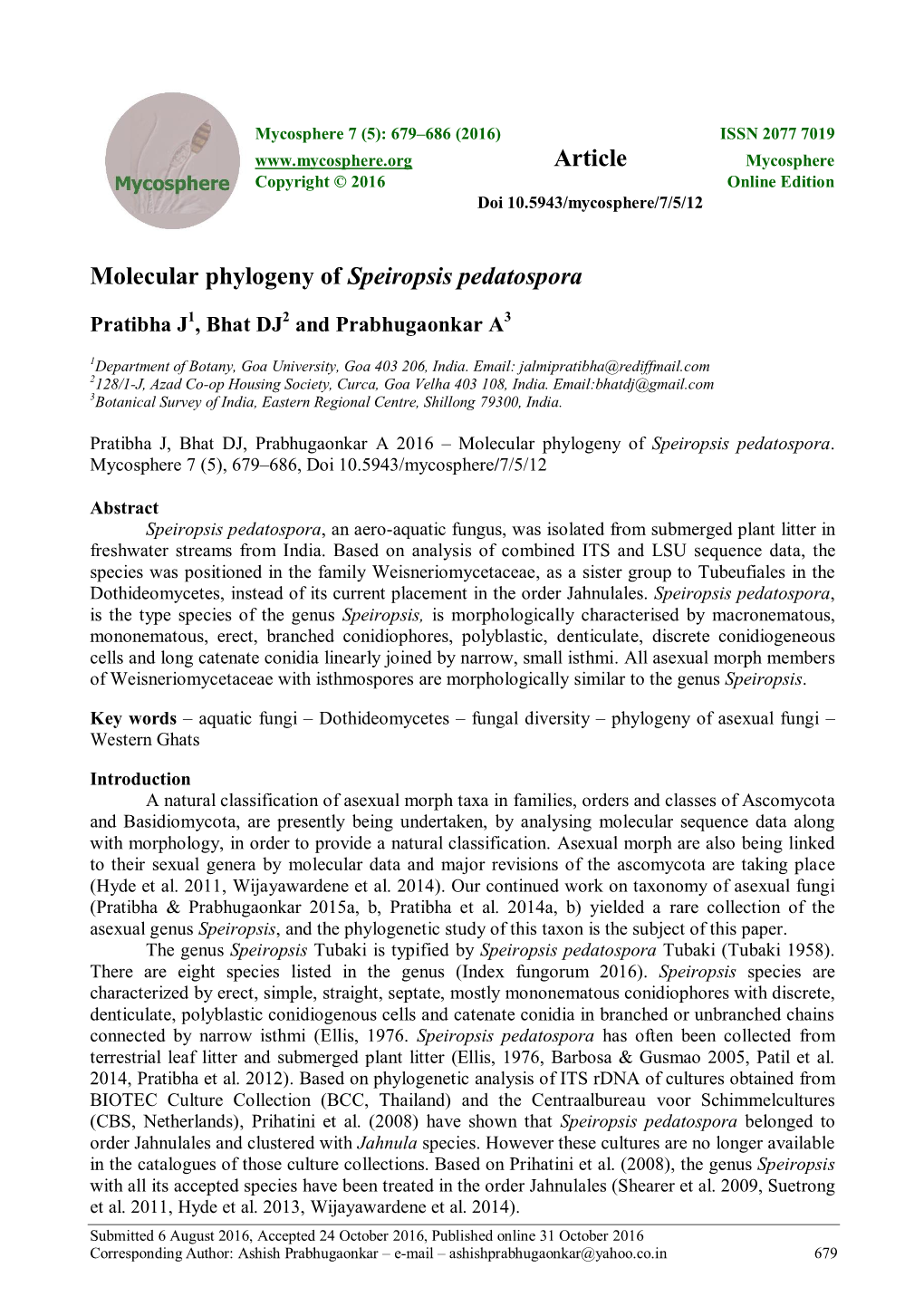 Molecular Phylogeny of Speiropsis Pedatospora